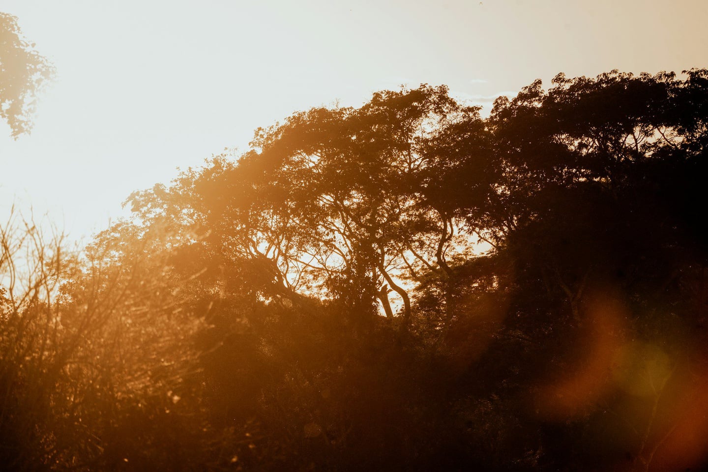 Image without alt